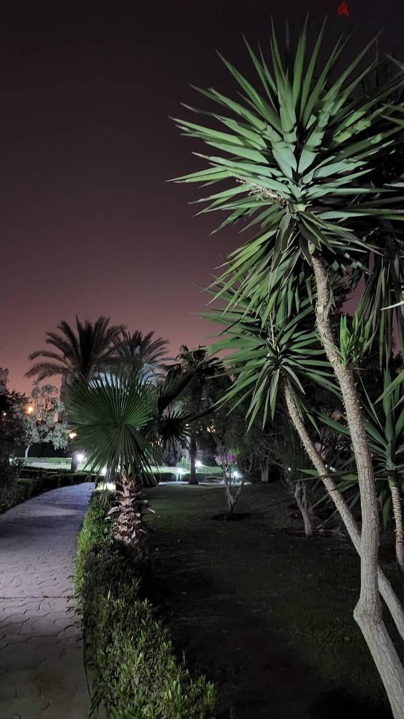 صورة العقار: من المالك مباشره